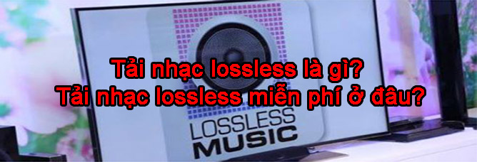 tải nhạc lossless